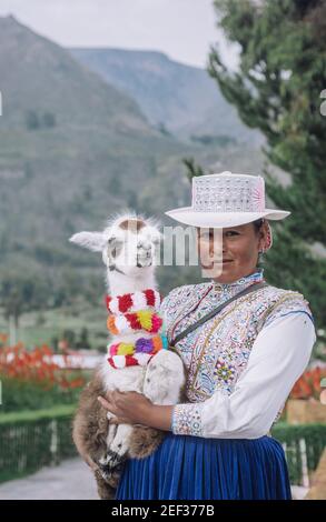 YANQUE, COLCA VALLEY, PÉROU - 20 JANVIER 2018 : une jeune femme péruvienne pose pour un portrait tenant un bébé alpaga avec un costume typique dans le traditionnel Banque D'Images