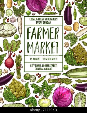 Affiche d'esquisse du marché des légumes. Modèle vectoriel de légumes frais et de radis ou chou-fleur bio naturel de ferme et brocoli, z Illustration de Vecteur