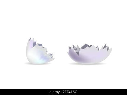 Œuf fissuré. Coquille d'œuf cassée. Illustration vectorielle Illustration de Vecteur