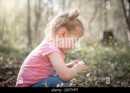 Belle jeune fille dans les bois cueillant des fleurs sauvages en été Lumière du soleil avec une magnifique lumière orange et des cheveux pour enfants attachés haut Banque D'Images