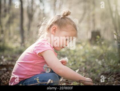 Belle jeune fille dans les bois cueillant des fleurs sauvages en été Lumière du soleil avec une magnifique lumière orange et des cheveux pour enfants attachés haut Banque D'Images