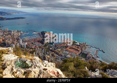 Avis de Montecarlo de la tête de chien, Principauté de Monaco Banque D'Images