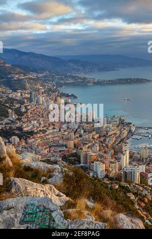 Avis de Montecarlo de la tête de chien, Principauté de Monaco Banque D'Images