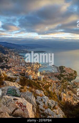 Avis de Montecarlo de la tête de chien, Principauté de Monaco Banque D'Images