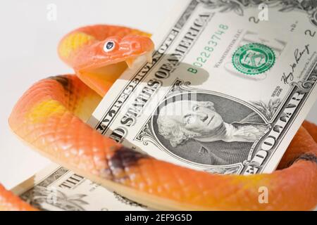 Figurine d'un serpent enroulé autour de la monnaie papier américaine Banque D'Images