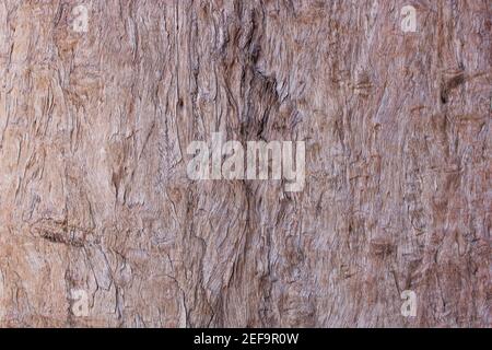 texture en bois du fond de la table en bois Banque D'Images