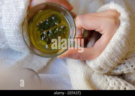 La jeune femme sur le canapé et avec du thé de sauge sur la main. Banque D'Images