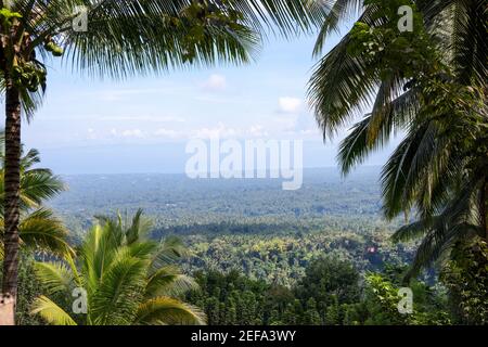 Cadre naturel de palmiers Coco sur le paysage tropical de l'île. Forêt tropicale avec vue sur les feuilles de palmier et l'océan lointain. Environnement de nature tropicale. Non touché W Banque D'Images