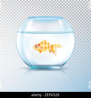 Aquarium avec aquarium à paroi ronde et poisson doré image réaliste sur illustration vectorielle transparente en arrière-plan Illustration de Vecteur