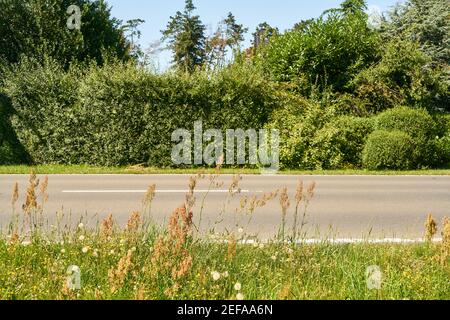 En été, continuez tout droit sur la route de campagne à deux voies Banque D'Images