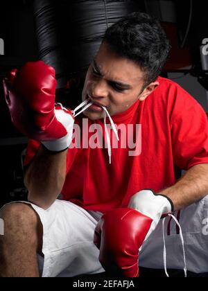 Male boxer wearing boxing gloves Banque D'Images
