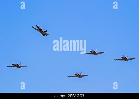 Breitling Jet Team Aero L-39 formation d'avions Albatros survolant la base aérienne Kleine Brogel. Belgique - 14 septembre 2019. Banque D'Images