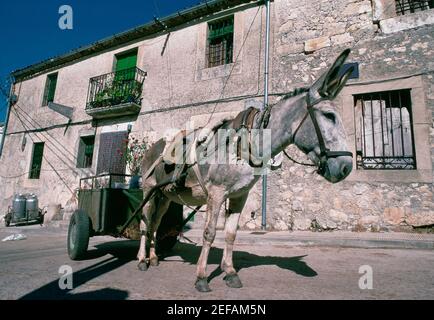 Gros plan d'un chariot d'âne sur une route, Castille, Espagne Banque D'Images