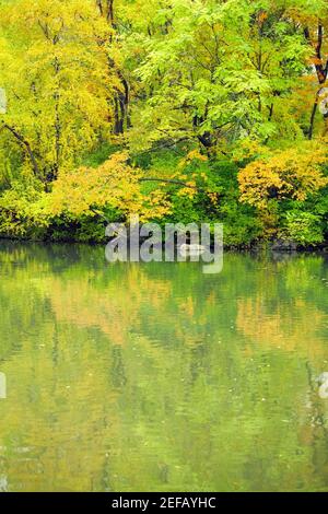 Reflet des arbres dans l'eau, Central Park, Manhattan, New York City, New York State, USA Banque D'Images