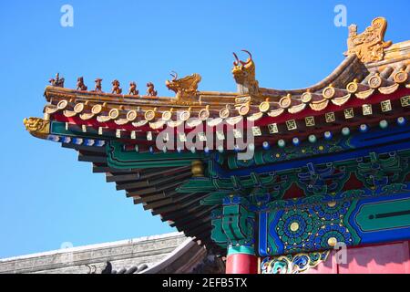 Vue à angle bas du toit d'un palais, Cité interdite, Pékin, Chine Banque D'Images