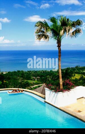 Vue panoramique d'une femme se détendant dans une piscine, villa d'été sans fin, Montego Bay, Jamaïque. Banque D'Images