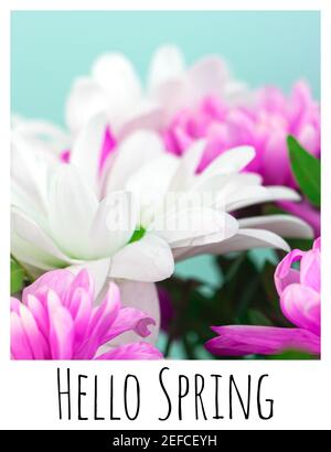 Carte de vœux Hello Spring avec bordure blanche et inscription textuelle, affiche avec de belles fleurs Banque D'Images