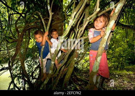 Trois enfants grimpant sur des arbres, Agua Azul Cascades, Chiapas, Mexique Banque D'Images