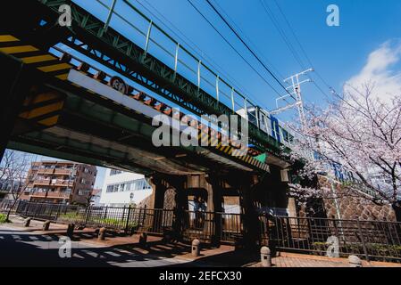 Vue sur la rue de la cerise sakura en fleur à Nagoya, Aichi, Japon Banque D'Images