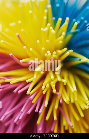 Gros plan des brins d'une boule de koosh Banque D'Images