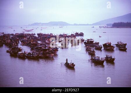 Flotte de pêche, Danang, Vietnam Banque D'Images