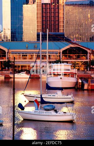 Lever de soleil des bateaux dans le port intérieur de Baltimore près de Harbour place, Maryland Banque D'Images