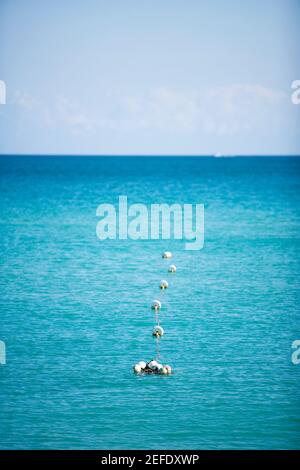 Vue en grand angle des bouées sur la surface de l'eau, Miami, Floride, États-Unis Banque D'Images