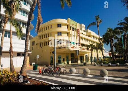 Palmiers devant un bâtiment, Miami, Floride, États-Unis Banque D'Images