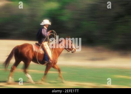 Profil d'un cow-boy à cheval, Texas, USA Banque D'Images