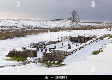 Le temple de Mithratic près du fort romain de Brocolitia, mur d'Hadrien, Northumberland, Royaume-Uni Banque D'Images