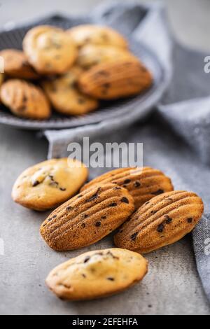 Madeleine au chocolat. Petits gâteaux français traditionnels sur une table de cuisine. Banque D'Images