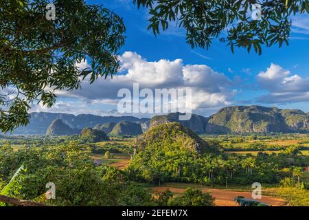 Belle vue sur les hummocks de la vallée de Vinales, Cuba Banque D'Images