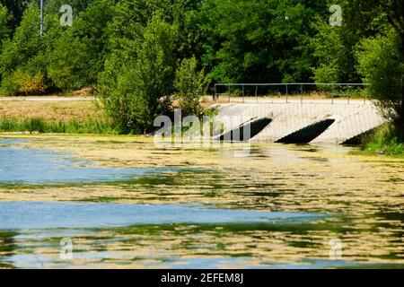 Caillebotis flottant sur l'eau, Lac de Bordeaux, Bordeaux, Aquitaine, France Banque D'Images