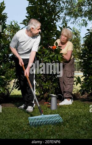 Un homme âgé raking dans un jardin avec une femme âgée debout derrière lui Banque D'Images