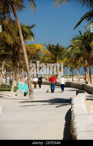 Vue arrière des touristes marchant sur la plage, Miami Beach, Floride, États-Unis Banque D'Images