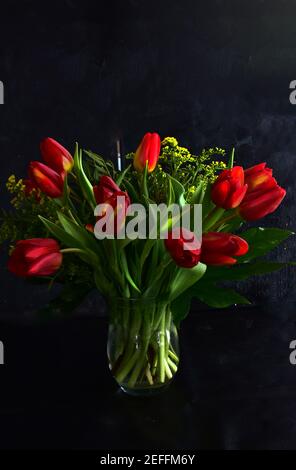 Photo de tulipes rouges sur fond de charme, beau bouquet floral. Banque D'Images