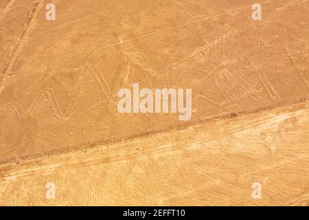 Vue aérienne des lignes de Nazca représentant un gantet, Nazca, Pérou Banque D'Images