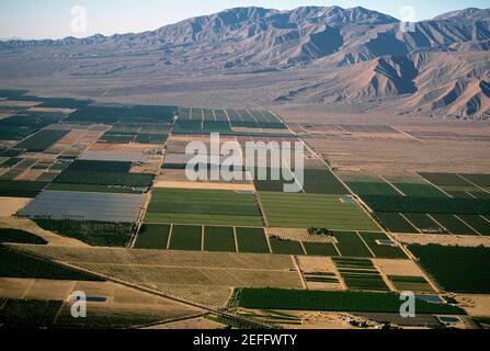 Agriculture désertique, Imperial Valley, Californie Banque D'Images