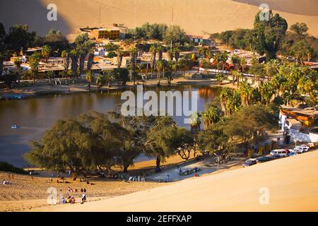 Vue panoramique sur un lac entouré d'arbres, Huacachina Oasis, Huacachina, région ICA, Pérou Banque D'Images