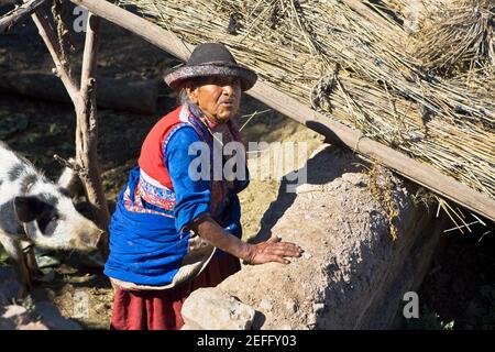 Vue de haut angle d'une femme âgée debout avec un cochon dans une grange, Cochnirua, Pérou Banque D'Images