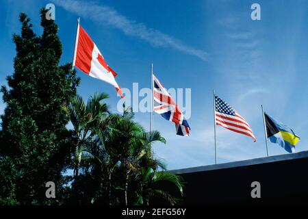 Drapeaux flottant à cause du vent par jour ensoleillé, Freeport, Bahamas Banque D'Images