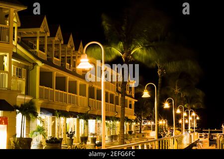 Lumières de rue et palmiers en face de la maison, Key West, Floride, États-Unis Banque D'Images