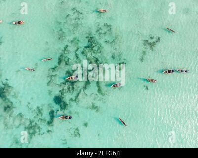 Top vue sur les bateaux traditionnels africains en bois sur l'eau turquoise propre près de la côte de Zanzibar à la plage de Nungwi. Prise de vue aérienne Banque D'Images