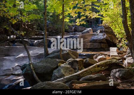 Une photo grand angle d'un ruisseau dans les montagnes de Bretton Woods, New Hampshire. Banque D'Images