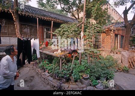 Ancienne résidence de lu Xun et de son jeune frère Zhou Zuoren , Zhou Jianren dans le N°11 Badaowan, Beijing, Chine. La photo a été prise vers 2000. Banque D'Images