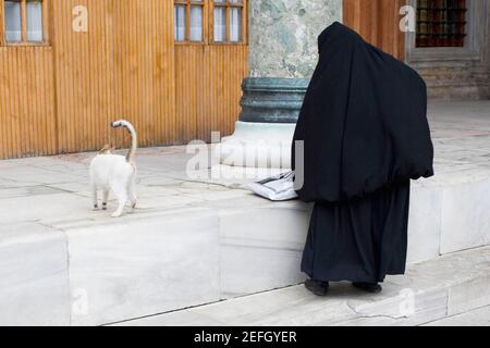 Vue arrière d'une femme musulmane en hijab debout avec un chat, Istanbul, Turquie Banque D'Images