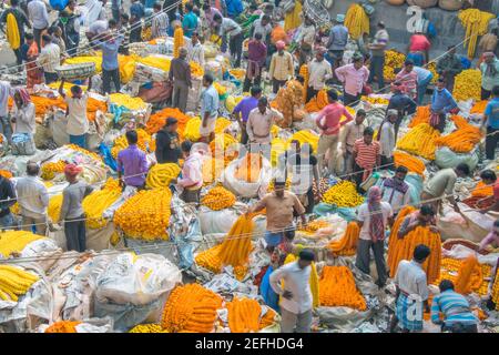 Photos du marché aux fleurs en gros de Kolkata. Le plus grand marché aux fleurs d'Asie près de Mallick Ghat à Kolkata. Des millions de cultivateurs de fleurs viennent ici. Banque D'Images