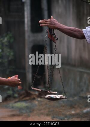 Les pêcheurs tiennent une balance, équilibrant le poisson et le poids, moyen typique de mesurer le poids du poisson dans les principales parties du Sri Lanka. Banque D'Images