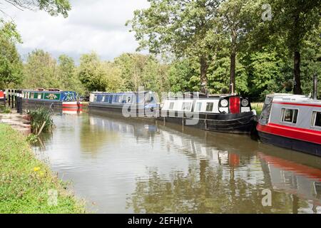 Des bateaux étroits amarrés sur le canal de Macclesfield plus haut Poynton Cheshire Angleterre Banque D'Images