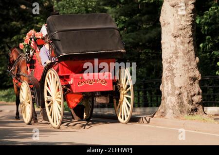 Chariot à cheval sur la route, États-Unis Banque D'Images